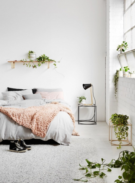 Комнатные растения в интерьере спальни — приятное озеленение в любом доме (63 фото)
