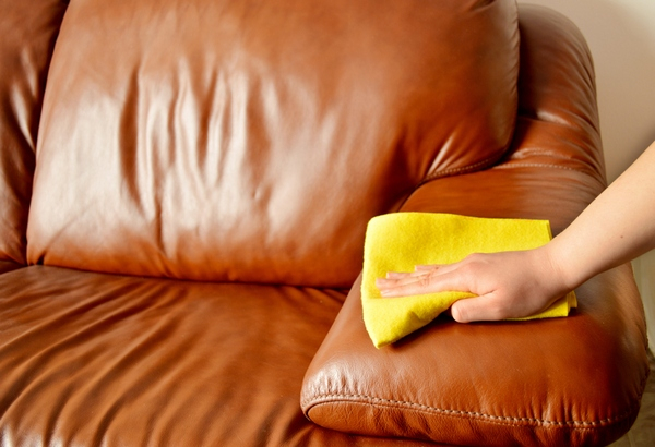 Чистая мебель – залог благоприятного микроклимата в доме: выбираем средство для чистки мебели