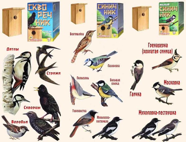 Как сделать скворечник: из досок и бревна для разных птиц в фото